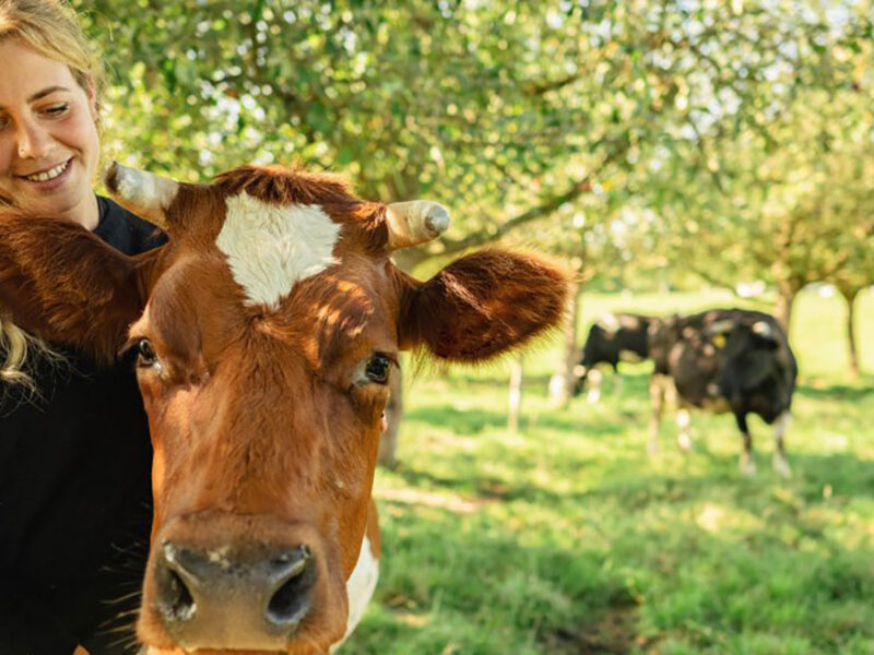 m&p: public relations