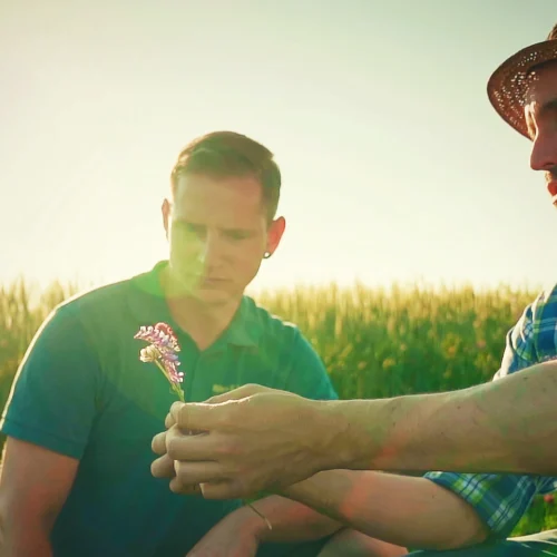 m&p: public relations